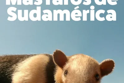 Los Animales Más Raros de Sudamérica (2020) Título original: South America's Weirdest Animals