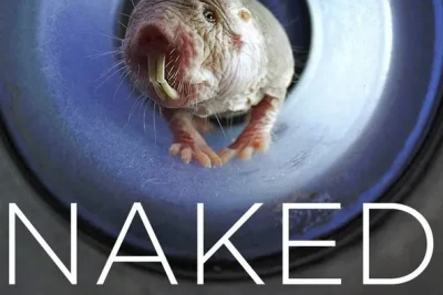 Naked Mole Rats (2019)